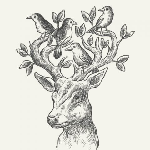 artist-course-08
